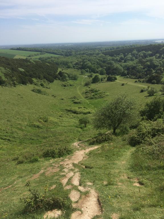Shepherds Barn West Dean 외부 사진